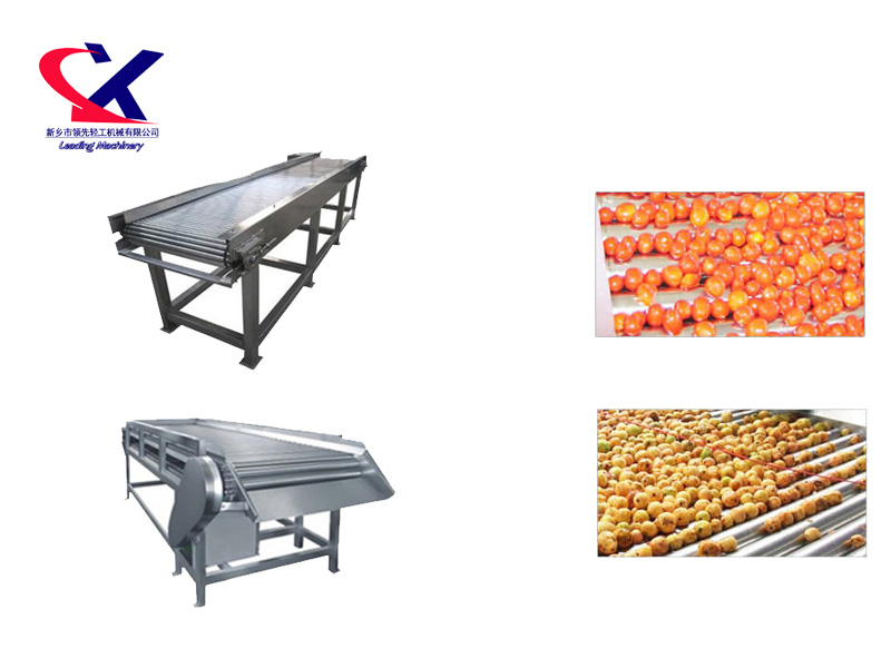 Stainless Steel Roller Fruit Conveyor Equipment
