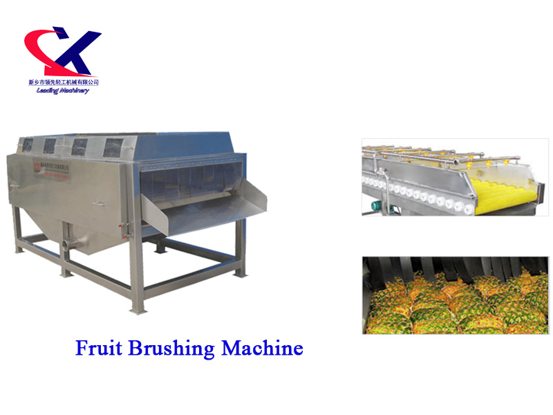 Lychee Fruit Brushing Washer Machine