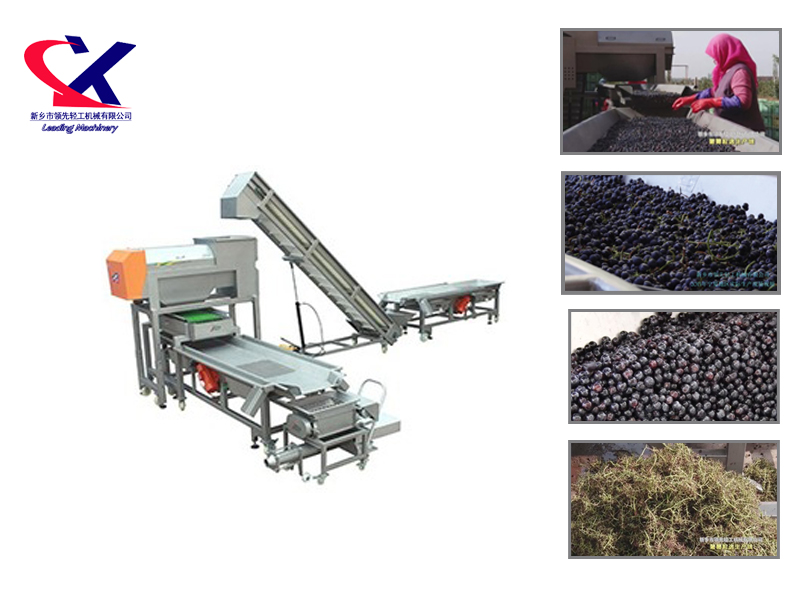 Grape Grain Brewing Equipment