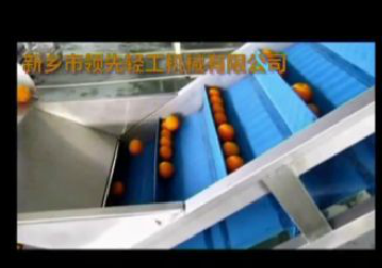 Live Video of Citrus Orange processing line